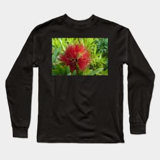 Red Bottlebrush Flower Long Sleeve T-Shirt